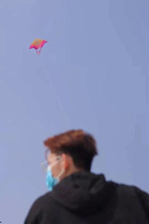 吃瓜追剧游戏免费,免费游戏畅享不停